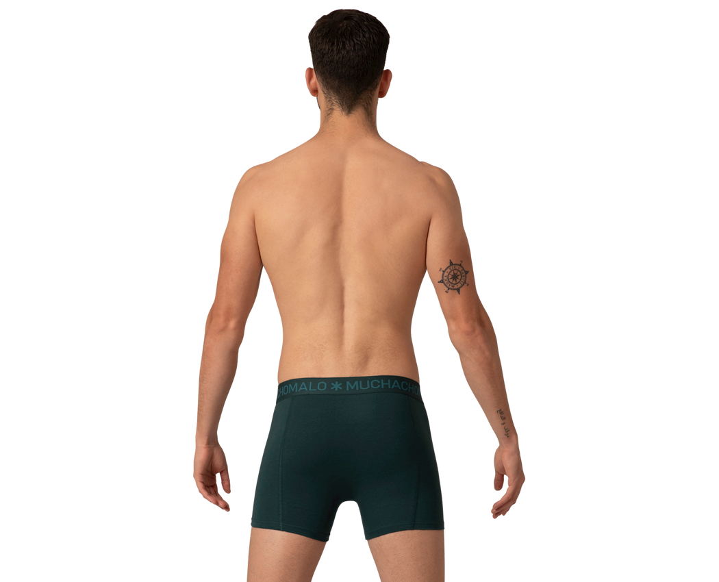 1010 SOLID BOXER 2PK 594 Grey/green Large
