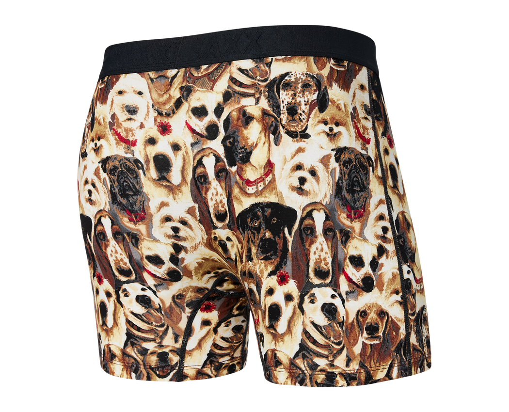 SAXX Vibe Boxer Dogs of Saxx-multi Large