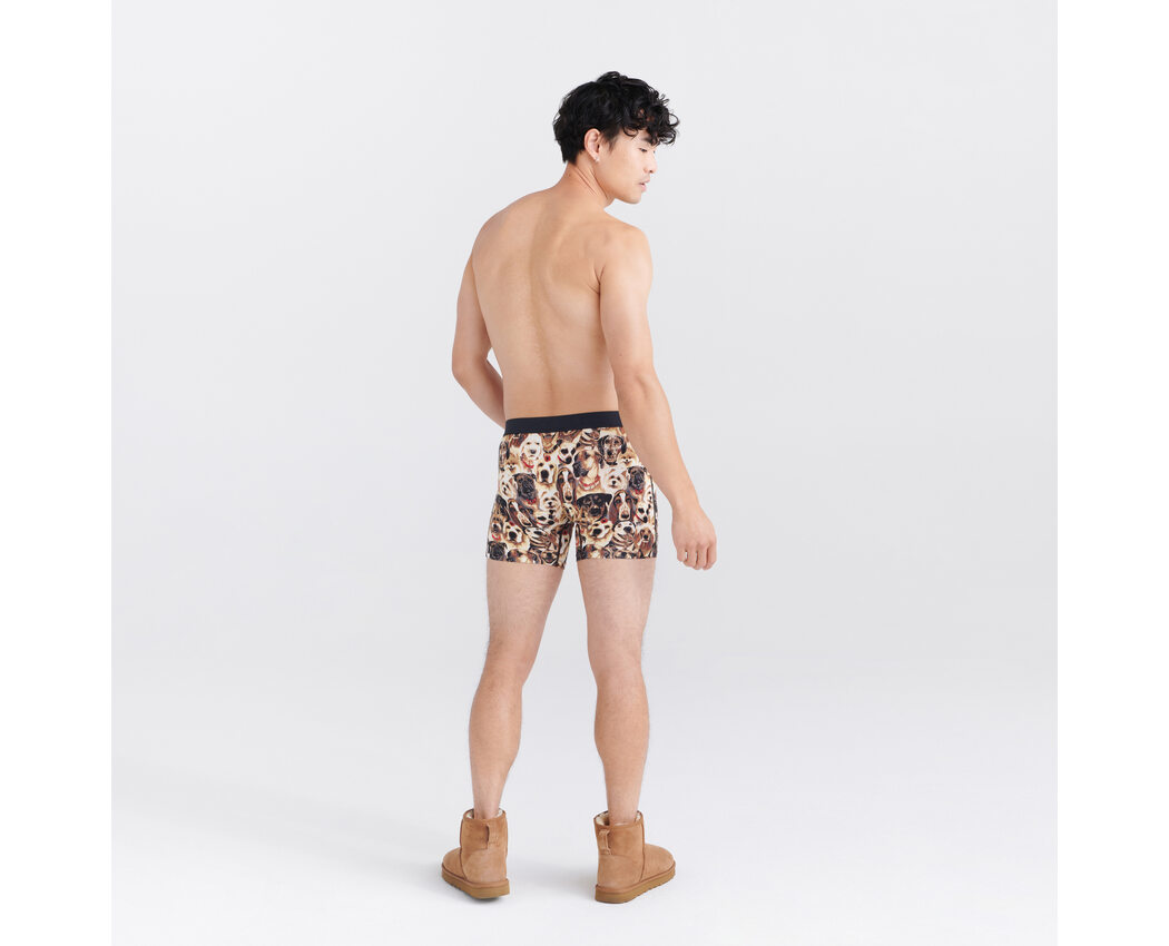 SAXX Vibe Boxer Dogs of Saxx-multi Large